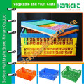 Boîte en caisse / caisse en plastique pliable pliable en structure solide en vente